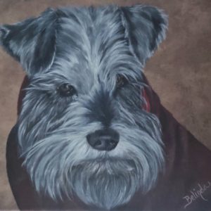 Portrait of a miniature Schnauzer named Tigger, wearing a red sweater and sitting in front of a textured background of browns and blacks.